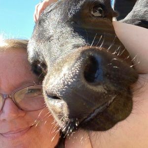 Meet your Posher, Angela